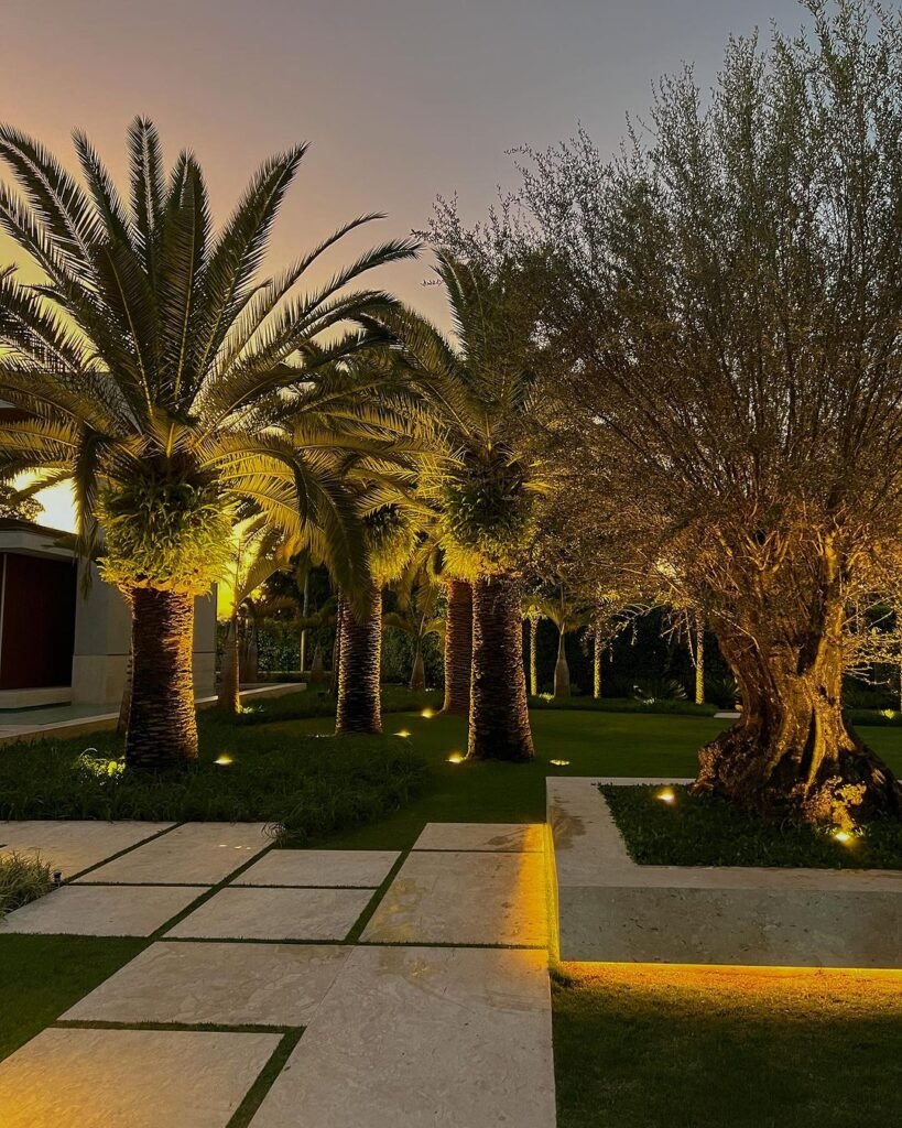Jardín con árboles grandes iluminado con lámparas para exteriores